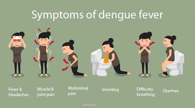 symptom dengue