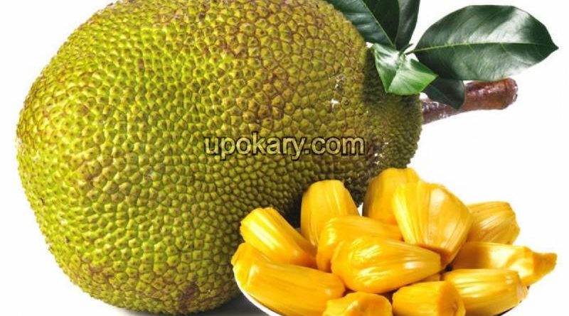 healthy jackfruit