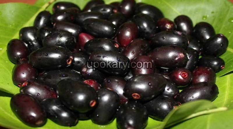 black berry