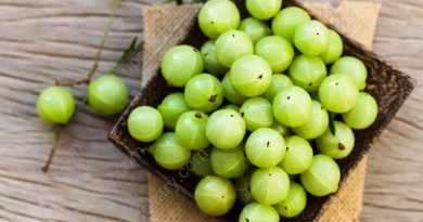 amla fruit