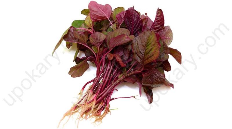 lal shak or red spinach