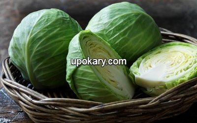 greencabbage