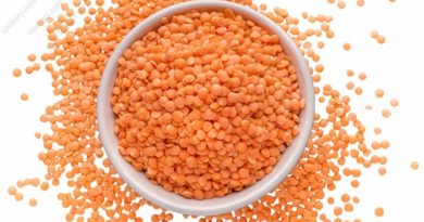 lentil seeds orange