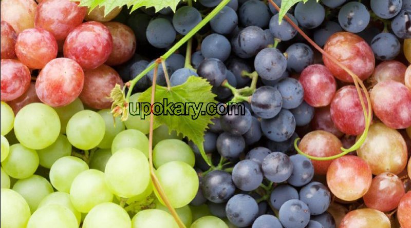 healthy grape