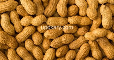 healthy peanut
