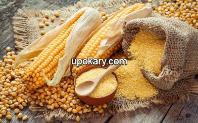Corn-flour