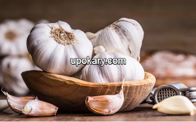 Garlic_Garlic