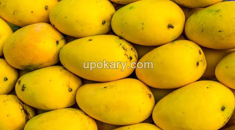 ripe-mango