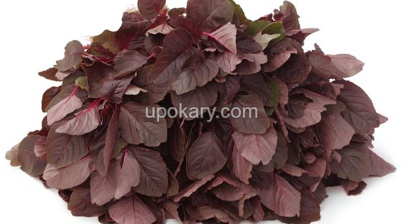 Red-spinach