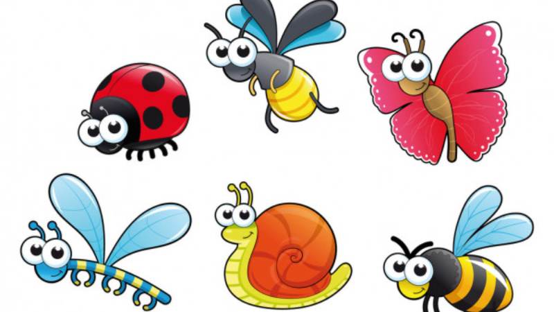 Картинки насекомых для детей цветные. Насекомые для дошкольников. Насекомые для вырезания для детей. Цветные насекомые для детей. Насекомые детские для вырезки.