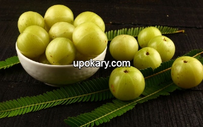 amla-amla