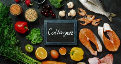 collagen diet