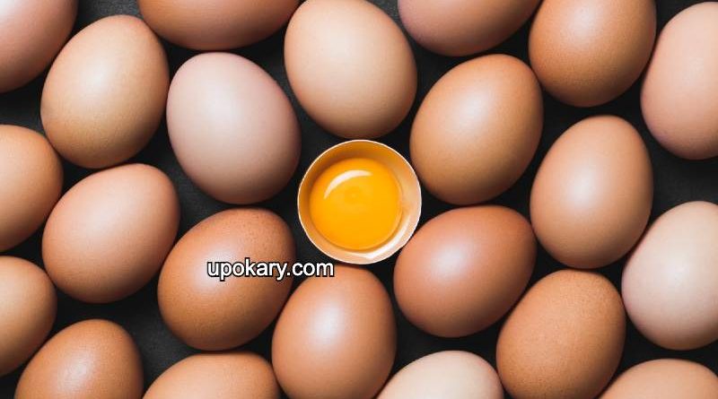 eggs shocking