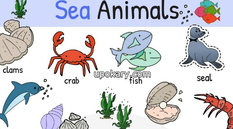 ocean or sea animals name - Upokary