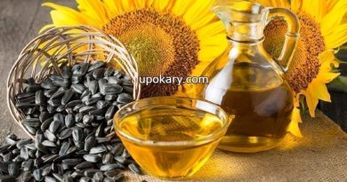 sunflower oil (1)