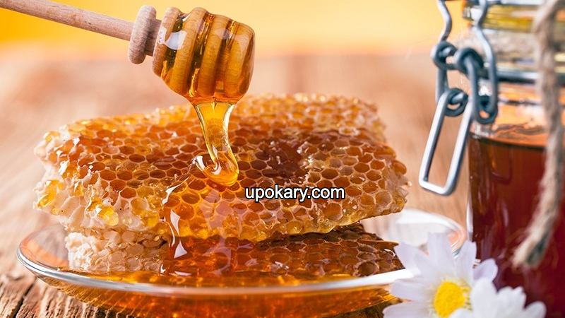 honey beats