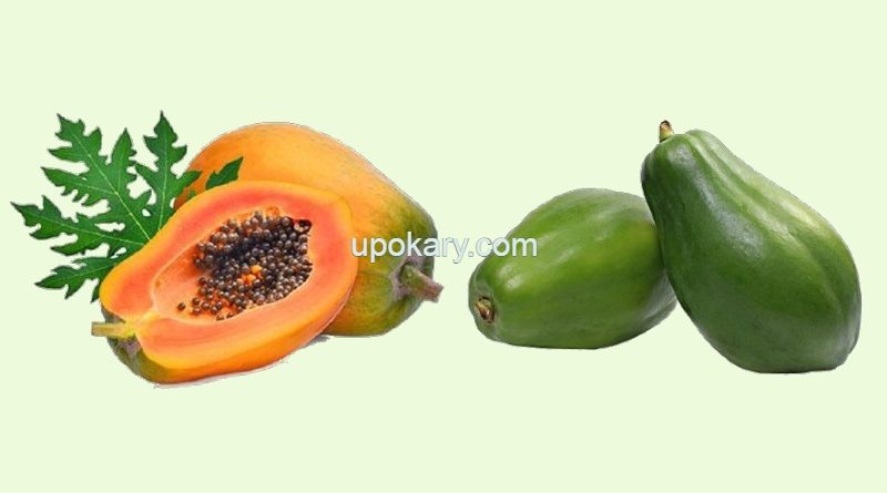 papaya for digestion