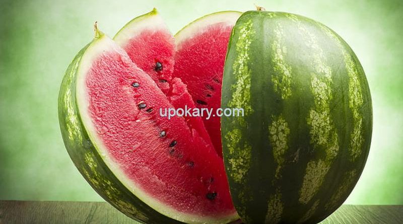watermelon fruit