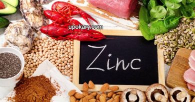 zinc high food