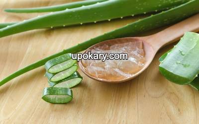 aloe juice