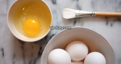 egg for hair