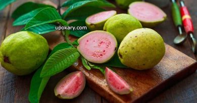 red guava with green leaf