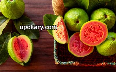 red guava with sunlight