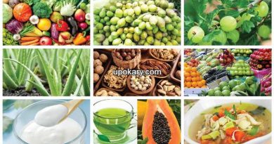 Foods to eat in case of fever