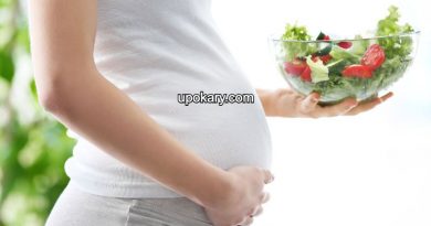pregnancy healthy diet