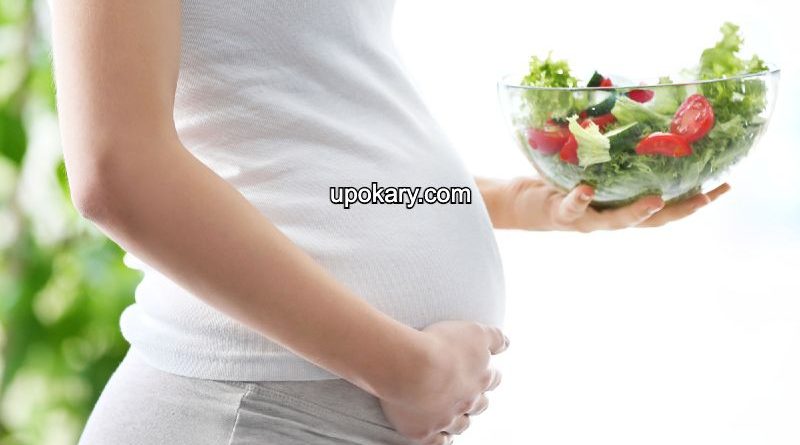 pregnancy healthy diet