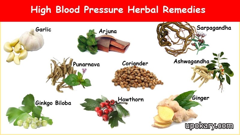 Herbs That Help Control High Blood Pressure Upokary