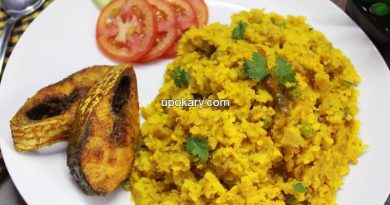 Roasted khichuri of hilsa