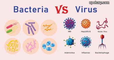 Viruses and bacteria