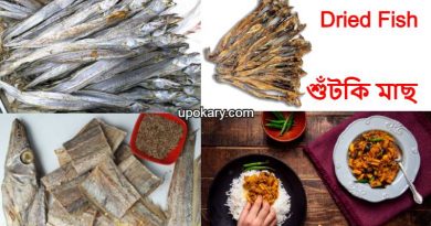 driedfish
