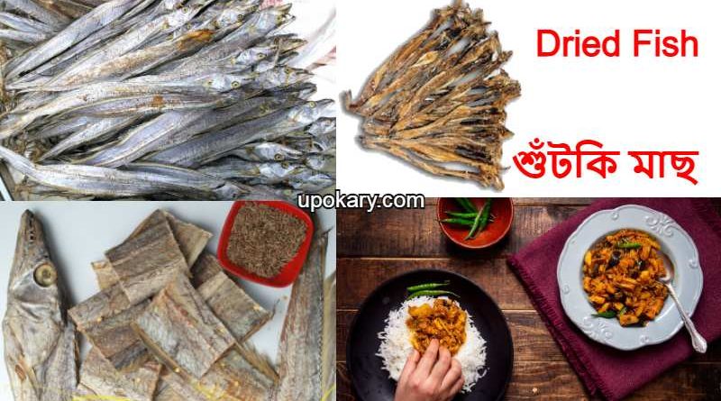 driedfish