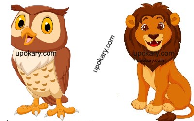 owl and lion