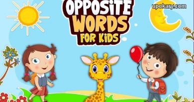 opposite_word_kids