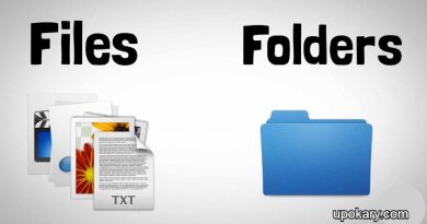 File & folder