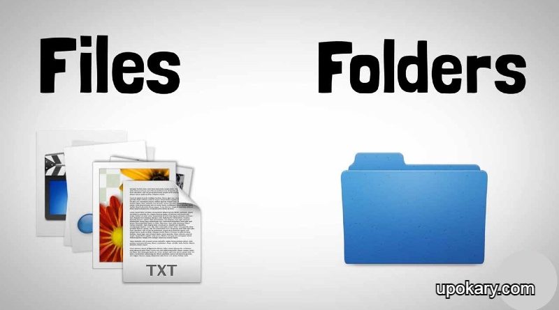 File & folder