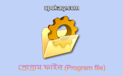 Program file