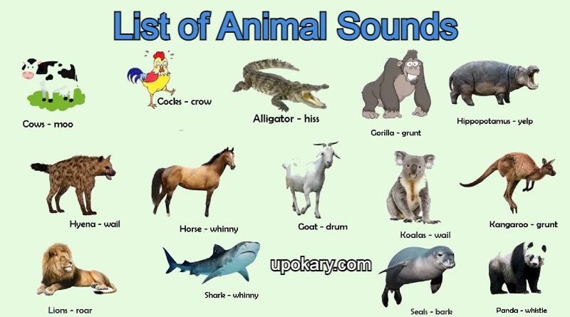 Animal sounds list - Upokary