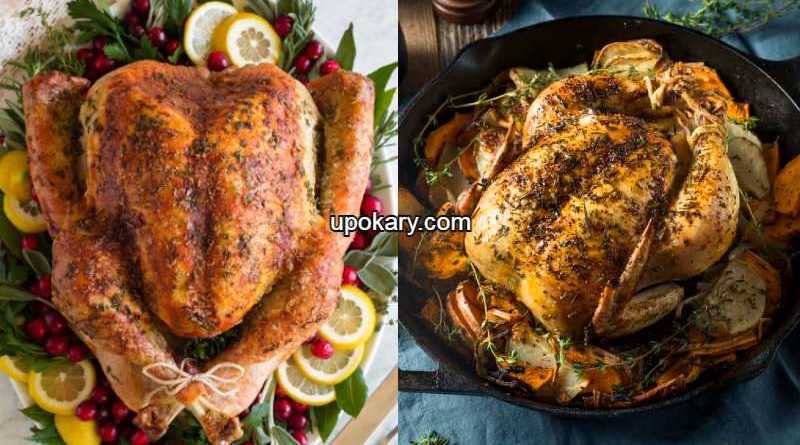 Turkey_chicken