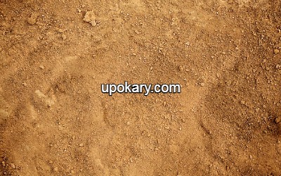Sandy_soil