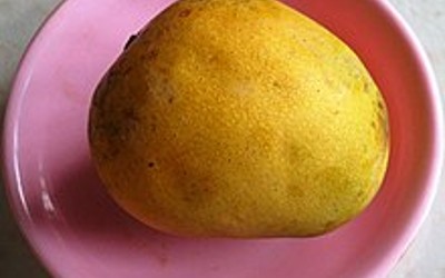 Himsagar mango