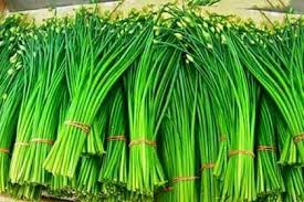 spring onion