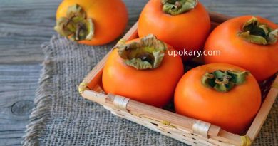 persimmon